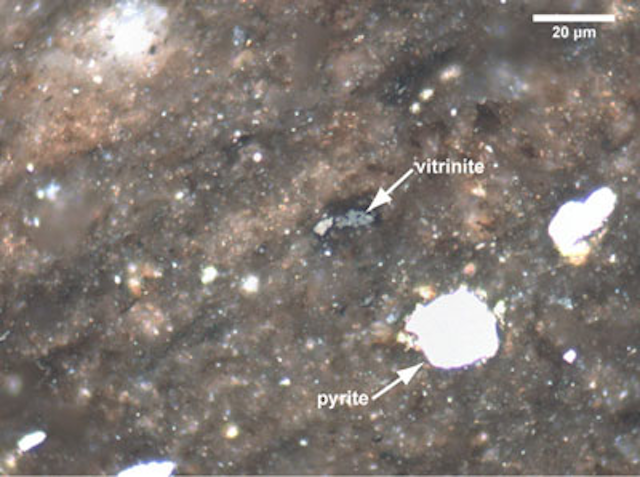 Reflectance standard adopted for dispersed vitrinite in sediment | Oil