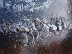 131104ogjjtbr05 131104ogjjtbr05