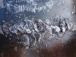 131104ogjjtbr05 131104ogjjtbr05