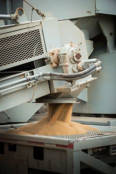 1505ogjuogrmoody 1505ogjuogrmoody