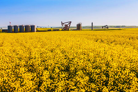 1505uogr B Whiting Flowers