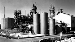 dewaxing process of light gas oil dewaxing process of light gas oil