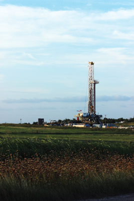 P1409uogreeogimproves Copy