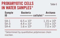 T6 Prokaryotic Cells T6 Prokaryotic Cells
