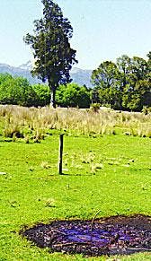 Th 050328ogjxdu3a Th 050328ogjxdu3a