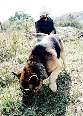 Th 050711ogjgld4 Th 050711ogjgld4