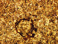 Th 060612ogj Tra7 Th 060612ogj Tra7