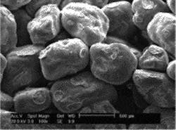 Th 070514ogj Dho03 Th 070514ogj Dho03