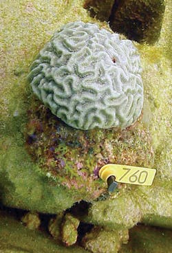 Th 070521ogj Tqa02 Th 070521ogj Tqa02