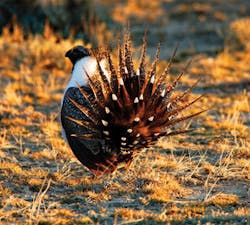 Th 070924ogj Js Di01 Th 070924ogj Js Di01