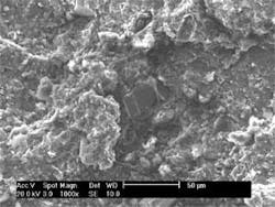 Th 071224ogj Dwy01 Th 071224ogj Dwy01