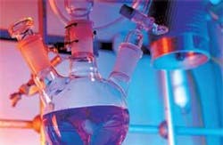 Th 080128egypt24 Th 080128egypt24