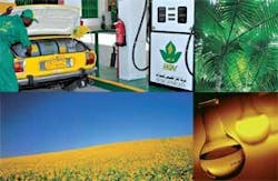 Th 080128egypt32 Th 080128egypt32