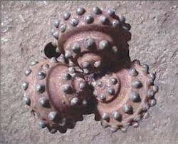 Th 080310ogj Dpa04 Th 080310ogj Dpa04