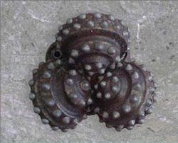 Th 080310ogj Dpa06 Th 080310ogj Dpa06