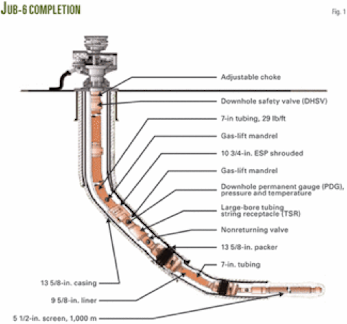 DEEPWATER ESP—1 Subsea, downhole 1,200hp ESP produces Jubarte well
