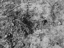 Th 080804ogj Tsm03 Th 080804ogj Tsm03