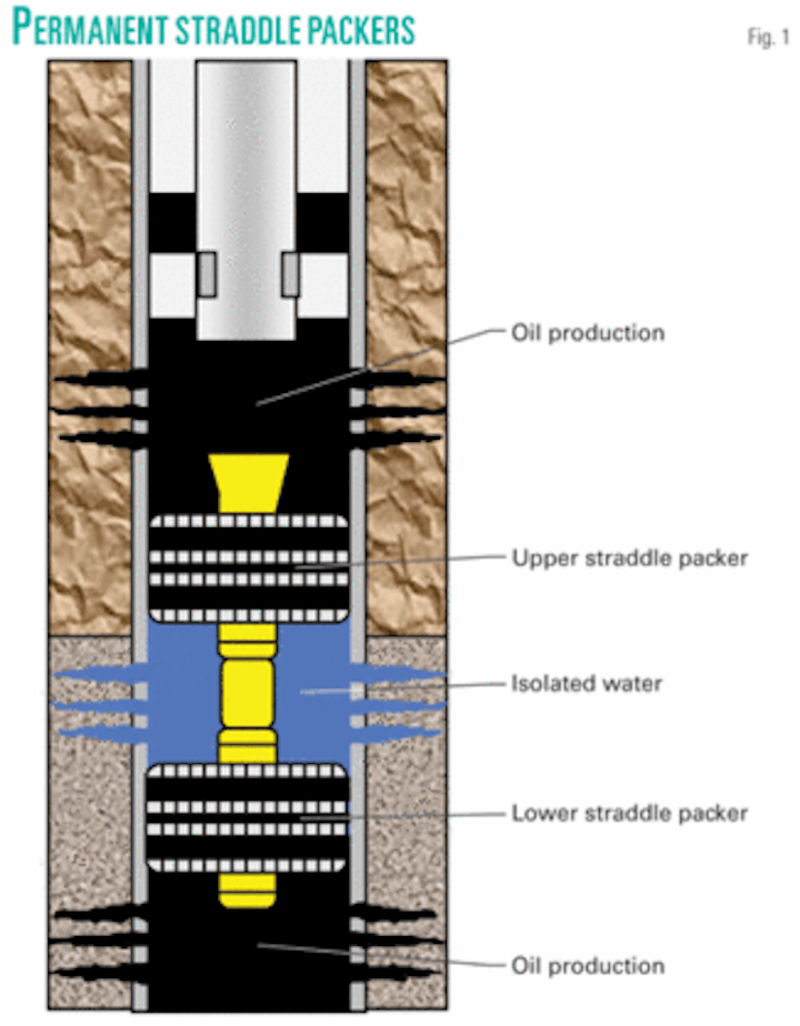 SPECIAL REPORT Straddle packer assemblies allow selective completions