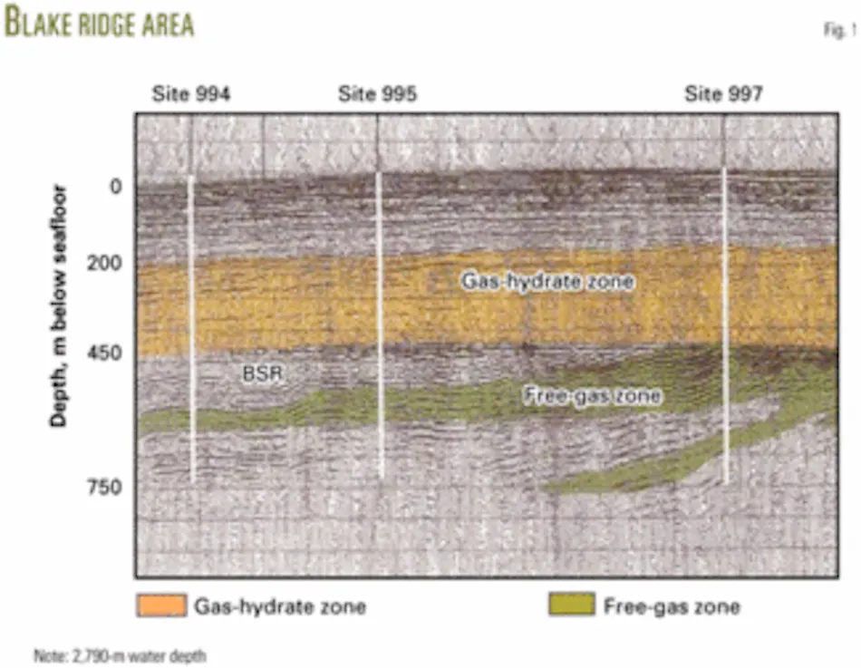Blake Ridge provides data for assessing deepwater gas hydrates | Oil ...