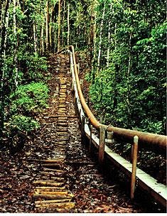 Th 9731jnldh Th 9731jnldh