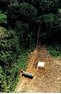 Th 9731jnldi Th 9731jnldi