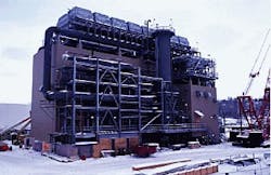 Th 9731jnwildart Th 9731jnwildart