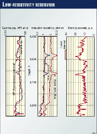 NMR logs find reserves by-passed by conventional analysis | Oil & Gas ...