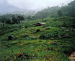 Th 9803jncob2 Th 9803jncob2