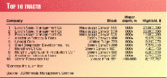 Gulf of Mexico lease sale proves lowkey Oil & Gas Journal