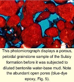 Th 9825jdal5 Th 9825jdal5