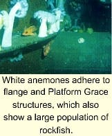 Th 9903jspob Th 9903jspob