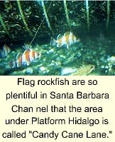 Th 9903jspoc Th 9903jspoc