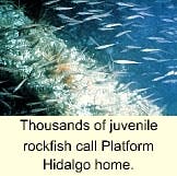 Th 9903jspod Th 9903jspod