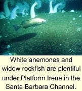 Th 9903jspoe Th 9903jspoe