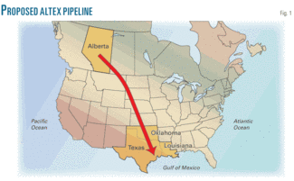 Th Altex Ceo Guides 01