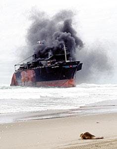 Th Gi Carissa Th Gi Carissa