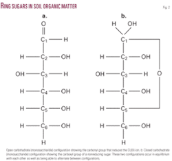 Th Nongas Phase 02 Th Nongas Phase 02