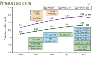 Th Petrobrass 5 Year 01