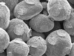 Th Screenless 01 Th Screenless 01