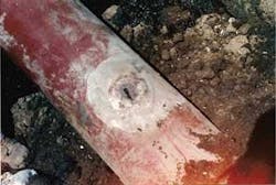 Th Study Examines 01 Th Study Examines 01