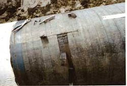 Th Study Examines 03 Th Study Examines 03