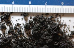 160104ogjpwi02 160104ogjpwi02