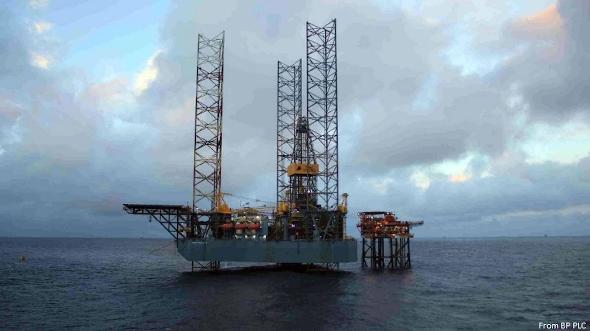 The north sea oil province biology essay 06 picture