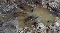Content Dam Ogj Online Articles 2018 03 180309 Jamaica Seeps 2 Final