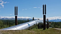 1601ogfjrot P01 1601ogfjrot P01