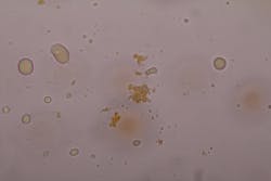 1606ogfjbac P01 1606ogfjbac P01