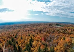 1608ogfjabr P01 1608ogfjabr P01