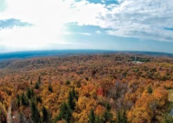 1608ogfjabr P01 1608ogfjabr P01