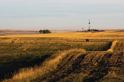 1610ogfjbir P01 1610ogfjbir P01