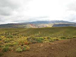 1611ogfjsol P01 1611ogfjsol P01